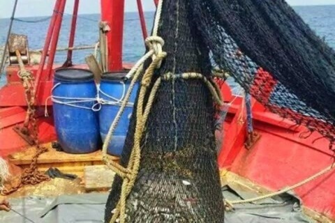 【閲覧注意】マレーシアの漁網に引っ掛かっていた ”最も恐ろしいもの”（5枚）