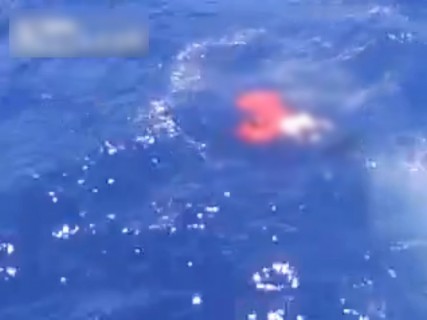【閲覧注意】海にプカプカ浮かんでる人たちを漁師が銃で撃ち殺していくビデオが怖すぎる