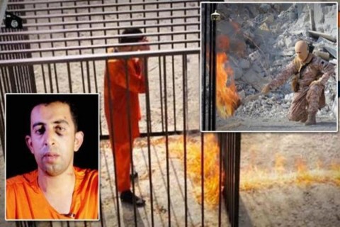 【閲覧注意】ISIS、ヨルダン、パイロット、焼殺画像（3枚）