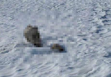 【閲覧注意】55年前に行方不明になった2人の男性が雪山で発見される・・・