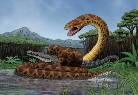 世界最大のヘビ、全長15m、体重1.1t、直径1m （画像）