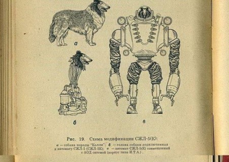 犬の首を切断し、「ロボット」にするという計画