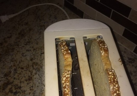 【閲覧注意】パンを焼くトースターの中に ”別の生き物” が入ってて吐いた
