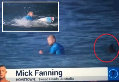 【動画】サーフィンの大会でサーファーがサメに襲われて水の中から出てこない…