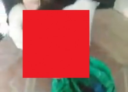 【閲覧注意】中国で緑色のビニール袋の中から発見されたもの。子供の切断された…
