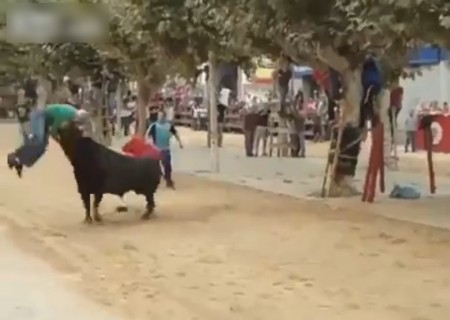 【動画】闘牛が1人の人間を殺すのに、7秒もあれば充分らしい