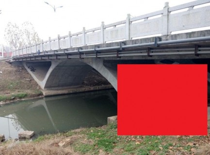 【閲覧注意】中国の橋の下で ”恐ろしいもの” が発見される