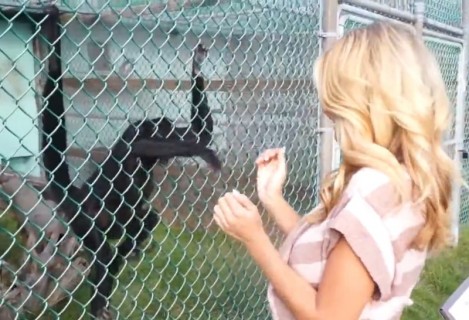【動画】髪が長い女性が動物園でやってはいけない行為・・・