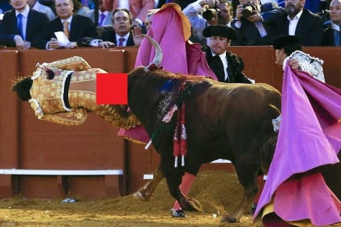 【閲覧注意】闘牛士が「とんでもない所」を牛に刺される…。この写真は伝説だわ