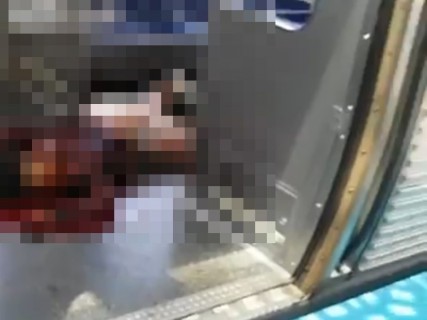 【閲覧注意】電車の中で倒れている女性、やばい・・・（動画）