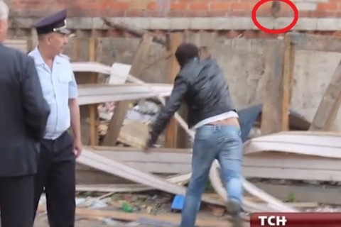 【動画】警察官の目の前で子猫を壁に叩き付けて殺した結果…
