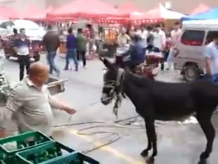 【閲覧注意】中国の ”お肉屋さん” での光景、怖すぎる