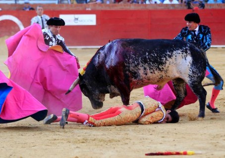 【閲覧注意】スペインの闘牛で30年ぶりに牛が人を殺す。映像やばい
