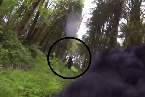 犬にカメラ付けて山に放ったら ”信じられないもの” 撮影してきた・・・（動画）