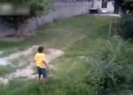 【動画】ボールを取りに人ん家の庭に侵入した少年 ⇒ この家に入ってはいけなかった・・・