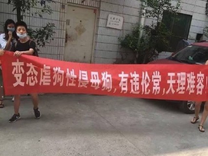 犬虐待してたのを中国の ”ヤバい活動家” に見つかった結果・・・（動画）