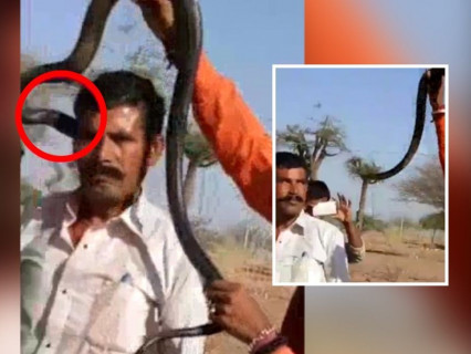 インドの観光客がコブラと写真撮影中に噛まれて死亡。映像が怖すぎる