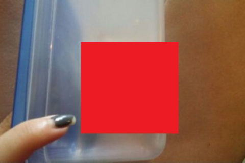 現在全米を恐怖に陥れている「危険生物」がこちら・・・これは怖い