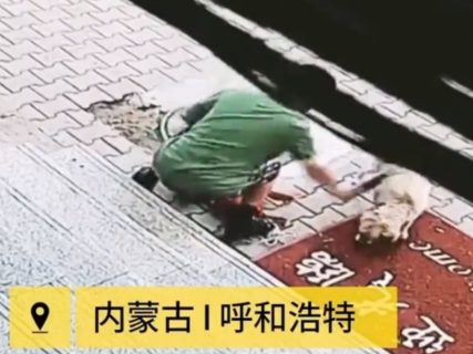 【閲覧注意】ネットで話題の「犬殺しおじさん」の動画、見てはいけないレベル… 【閲覧注意】ネットで話題の「犬殺しおじさん」の動画、見てはいけないレベル…