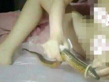 【閲覧注意】２０歳美女、とんでもない ”オ●ニー配信” をしてしまう…（画像）