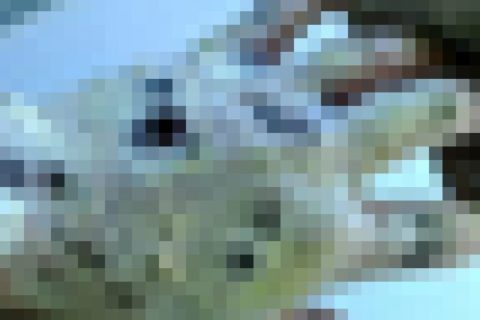 【閲覧注意】「クロコダイル」とかいう絶対に使ってはいけない麻薬がヤバすぎる（画像）