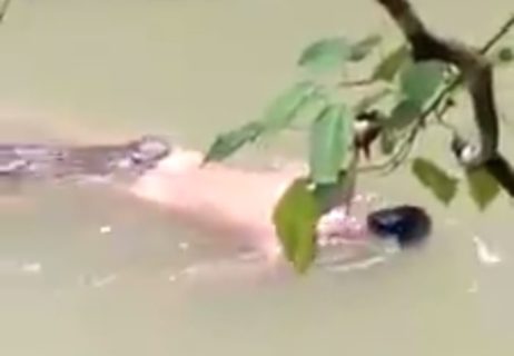 【閲覧注意】川でクロコダイルが人間をくわえて泳いでいる動画が流出し話題に