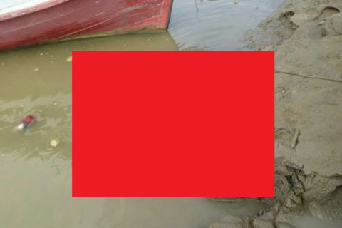 【閲覧注意】危険生物がうようよいるアマゾン川に落ちた人間の姿・・・マジかよこれ（画像）