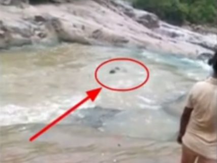 【動画】少年が川で溺れてるのに周りにいる大人たちが ”誰も泳げなかった” 結果・・・