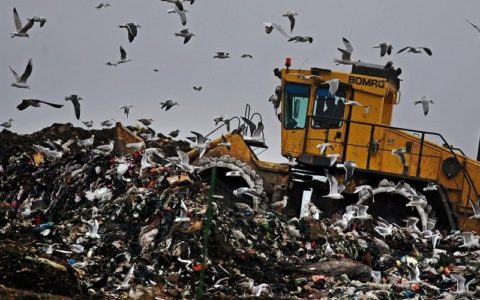 【超！閲覧注意】ゴミ捨て場に ”史上最強” にヤバいものが捨ててあった（動画）