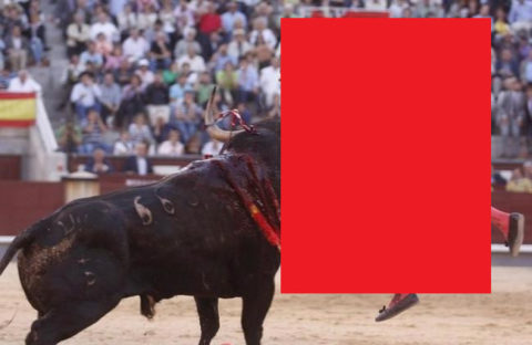 【閲覧注意】スペインの闘牛で ”一番盛り上がるシーン” ・・・（画像）
