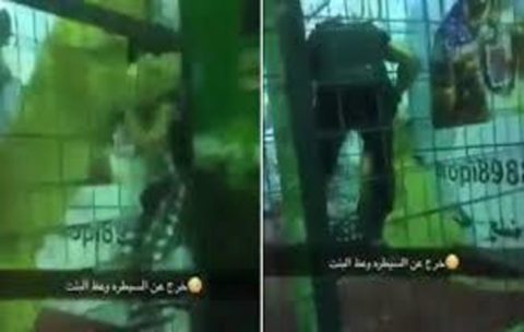【狂気】ライオンと数十人の子供たちを檻の中に閉じ込めて…サウジアラビアで恐ろしい動画が流出