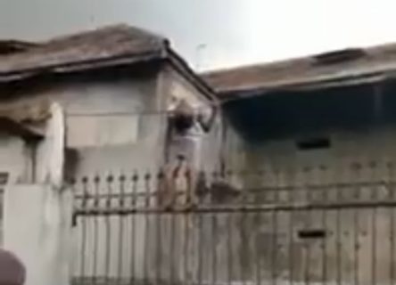 【衝撃】近所の子供、住民たちを震え上がらせる死に方をしてしまう（動画あり）