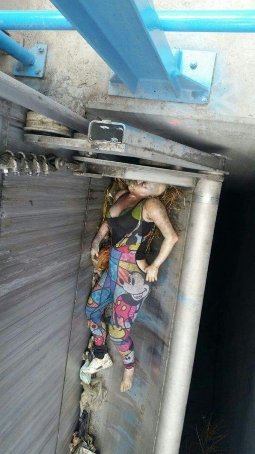 閲覧注意 ディズニー好き巨乳ギャル 頭の毛を全部剃られ駐車場に放置される 画像あり ポッカキット