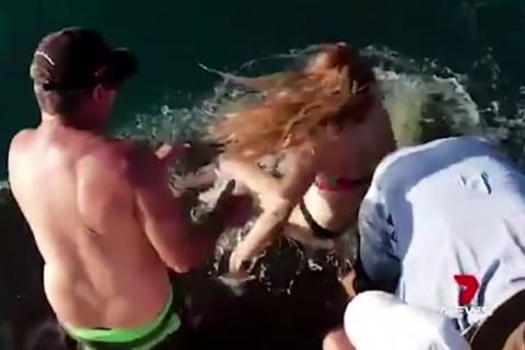 【衝撃映像】桟橋からサメを触ってる女の子に今からヤバい事が起こります・・・・・