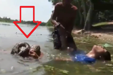 【衝撃映像】ジャングルの川で巨大ヘビを捕まえる少年2人、ヘビに襲われこうなる…