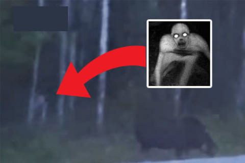 【衝撃】カナダの森で真っ白で人の形をした正体不明のクリーチャーが撮影され話題に！（動画あり）
