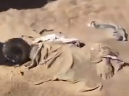 【閲覧注意】気温40℃～－20℃の砂漠で、2年前に死亡した男性の遺体が発見される。その姿が…