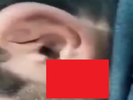 【超恐怖】この男の耳に水を垂らしたら、何が出てきたと思う…？（動画あり）