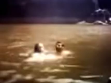 【閲覧注意】新婚旅行中のカップルが底なし池に沈んでいき絶命。伝説の動画
