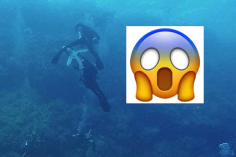 【超恐怖】海中で観光客がサメに襲われ海が血に染まる映像。あまりにも怖すぎる