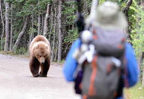 【閲覧注意】山でクマに襲われた直後のおじいちゃんの画像。TVじゃ絶対に放送できないレベル