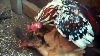 エログちゃんねるニュース