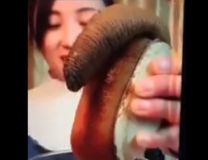【動画あり】女の子にイジられた男性器のような物体、大量射精してしまうwwwwww 【動画あり】女の子にイジられた男性器のような物体、大量射精してしまうwwwwww