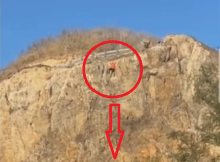 【衝撃】30mの崖から落ちた後にタバコを吸ってる男が不死身では…と世界中で話題に