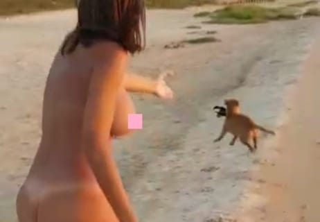 【激写】海で全裸女性がビキニを盗んだ犬を追い掛けててワロタｗｗｗ（動画あり）