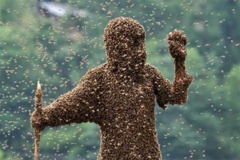 【閲覧注意】”蜂毒アレルギー” の人が大量のミツバチに刺された結果・・・（衝撃動画）
