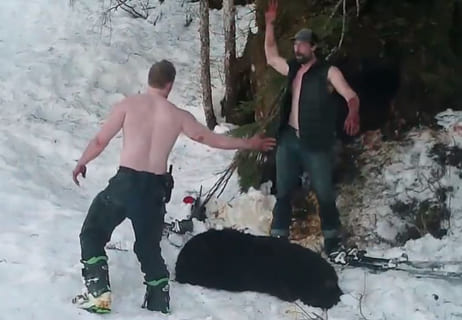 【閲覧注意】キチガイ狩猟者、冬眠中のクマ３頭をぶち殺し逮捕。動画が怖すぎる…