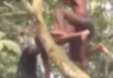【動画】部族の村近くのジャングルで、物凄いレ●プされてる女が発見される