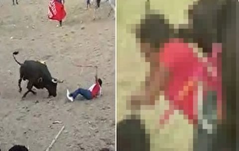 【衝撃映像】調子に乗って「赤い服」を着て闘牛に参加した女はこうなる・・・