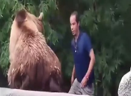 動物園でクマの囲いに飛び込んだDQNの動画が話題に。迫り来るクマ…そして…